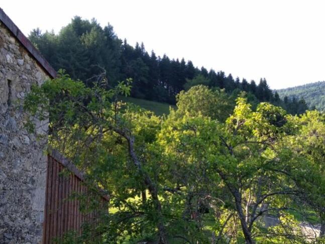 Vila La Caminada Fougax-et-Barrineuf Exteriér fotografie
